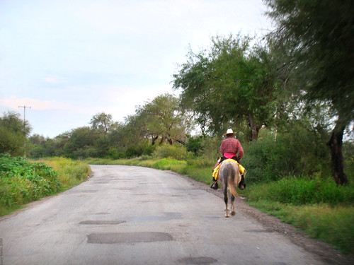 road sunset méxico way mexico caballo atardecer camino carretera creativecommons jinete rioverde sanluispotosi sanluispotosí ciudadfernández