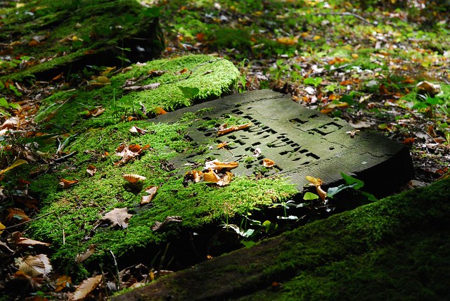 Jüdischer Friedhof Bruchsal Eichelberg