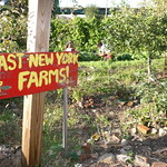 East New York Farms