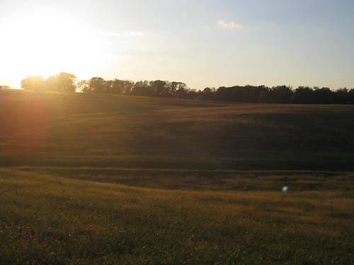 sunset field rollinghills