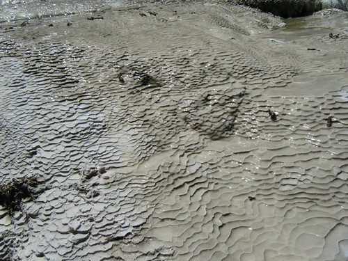 Mud Pool | by Go Gravy!