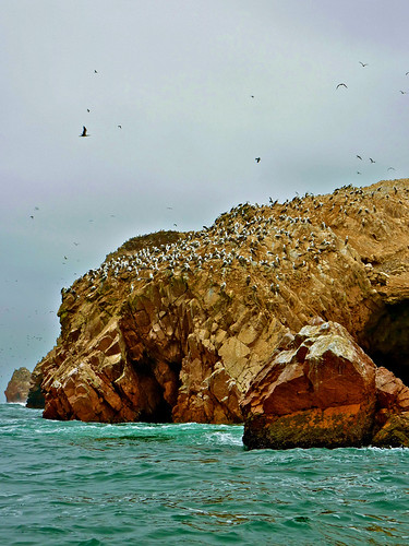 Ballestas Islands