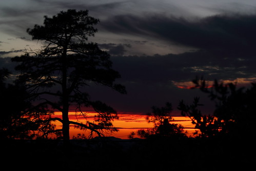 sunset arizona tree silhouette canon eos rebel cabin iron az springs prescott t2i