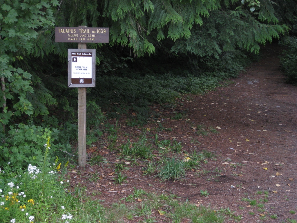 Talapus Lake Trail