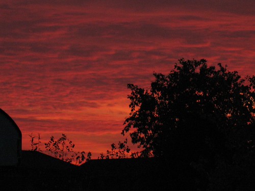 IMG_1284 by missbehavin302, Taken this morning as the sun was coming upsky nature clouds sunrise canon maryland easton talbotcou