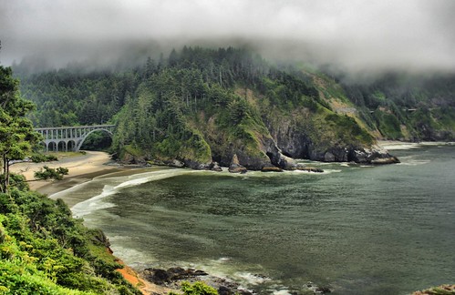 Oregon Coast by Andrew E. Larsen