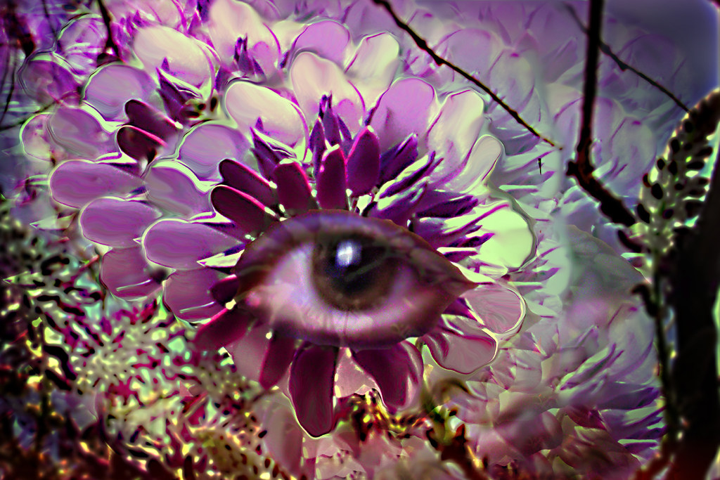 Eye of nature by chandrika221