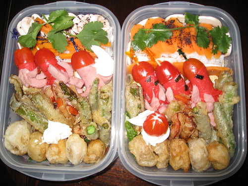 Obento (with Flash) | by Xarxos