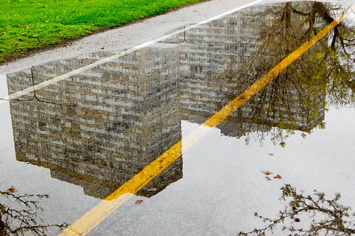 reflections | by reallyboring