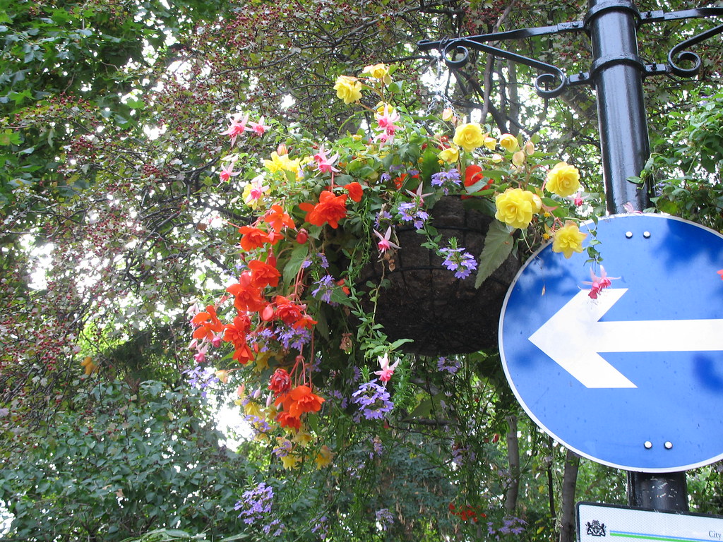 Lamppost with flowers in Manchester Square