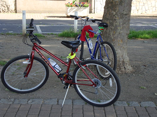 Our Cheap Bicycles | by MRomero548