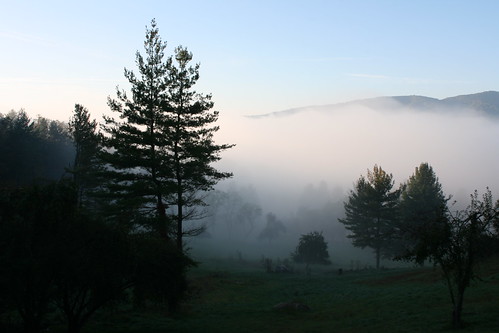 cloud sunlight mountain tree fog sunrise canon rebel virginia cabin low 24mm patchy elkcreek xti mywinners