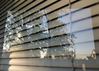 sunrise reflection on blinds
