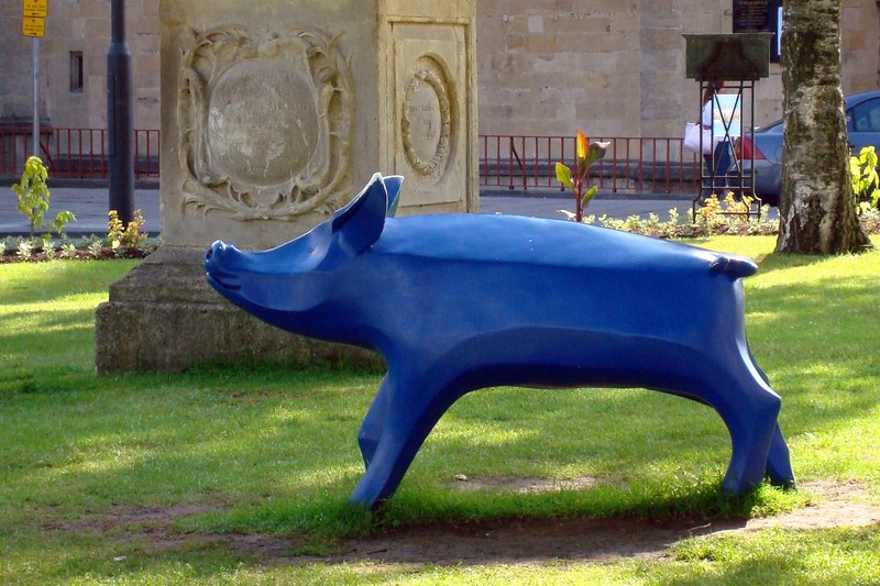 Porquinho em Bath 5 / PigParade at Bath 5