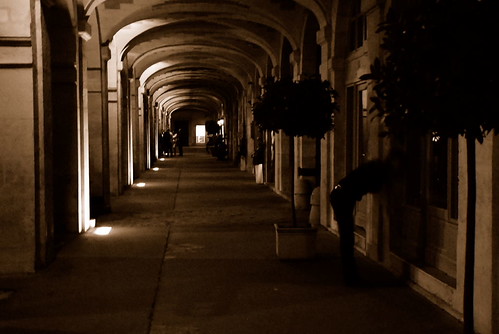 Place des Vosges | by -- blue in green --