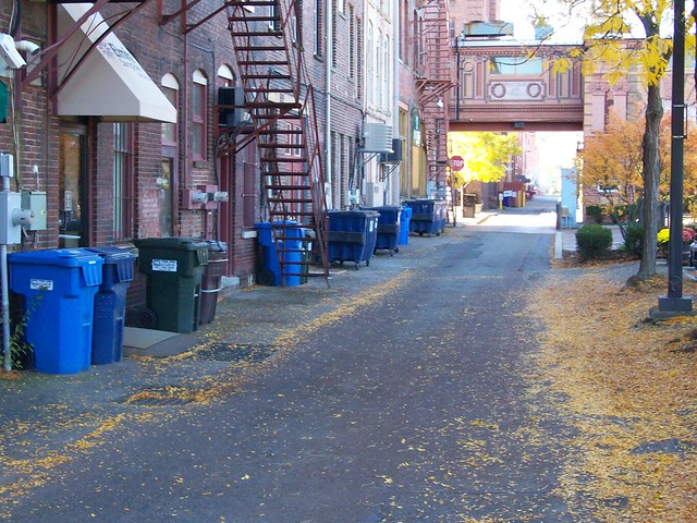 Alleyway with blue garbage bins