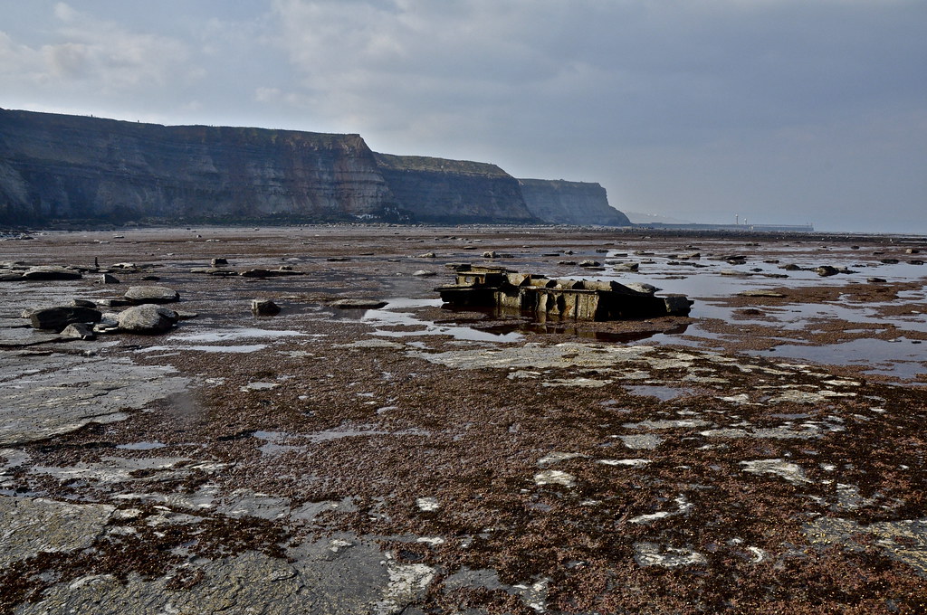 Remains on the scaur | Whitby piers in the distance | petelovespurple ...