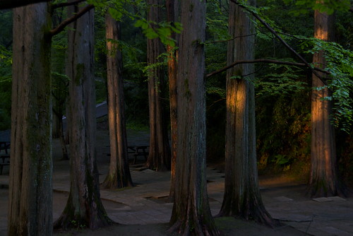 park japan sunrise nikon kanagawa kawasaki 公園 川崎 神奈川 日の出 夜明け 生田緑地 ニコン d80