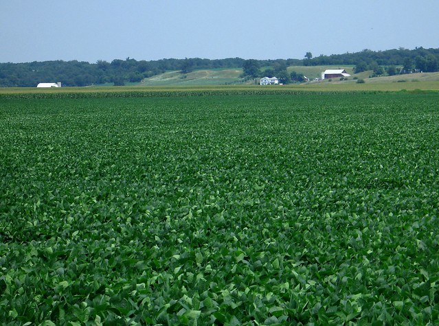 Champaign County, Ohio farm