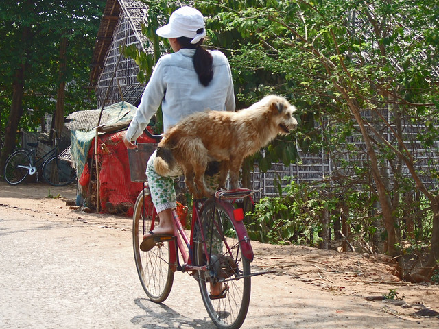 Cambodia: On the way to Lake Tonle Sap