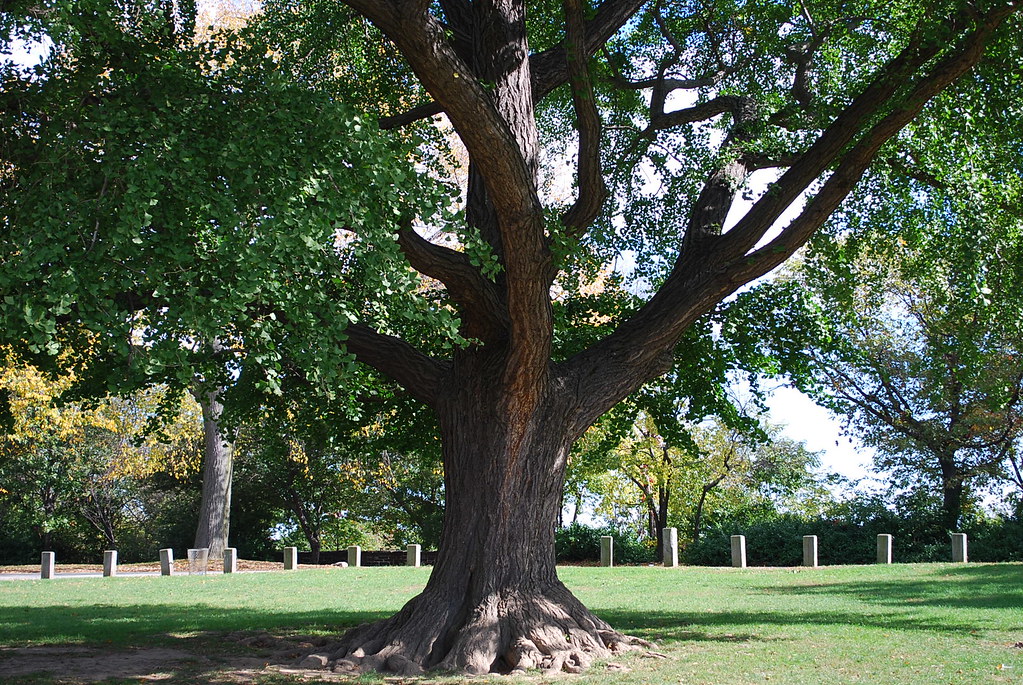 Fort Tryon Park, New York City