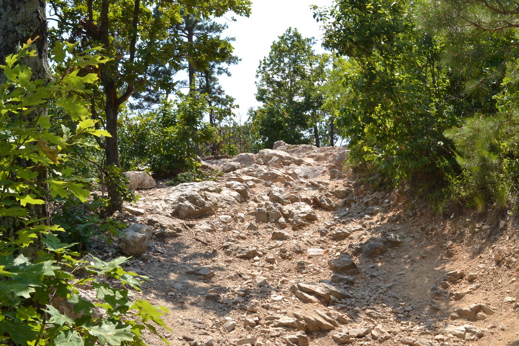 Wolf Pen Gap 6 East