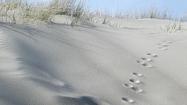 footprints In the sand