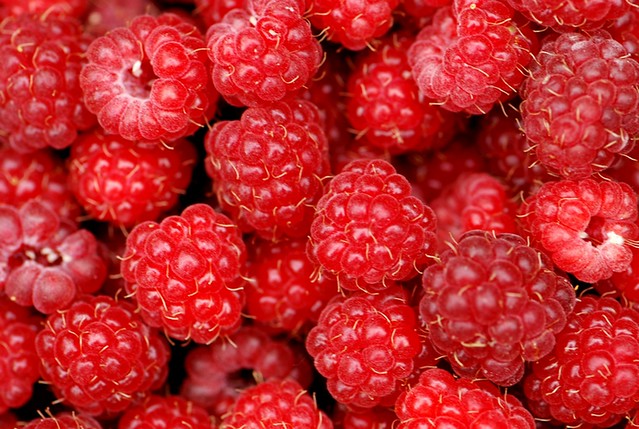 Fresh from garden-I Raspberry, Frambois