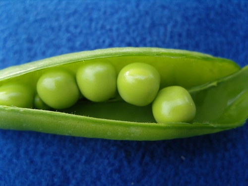 Peas | quimby | Flickr