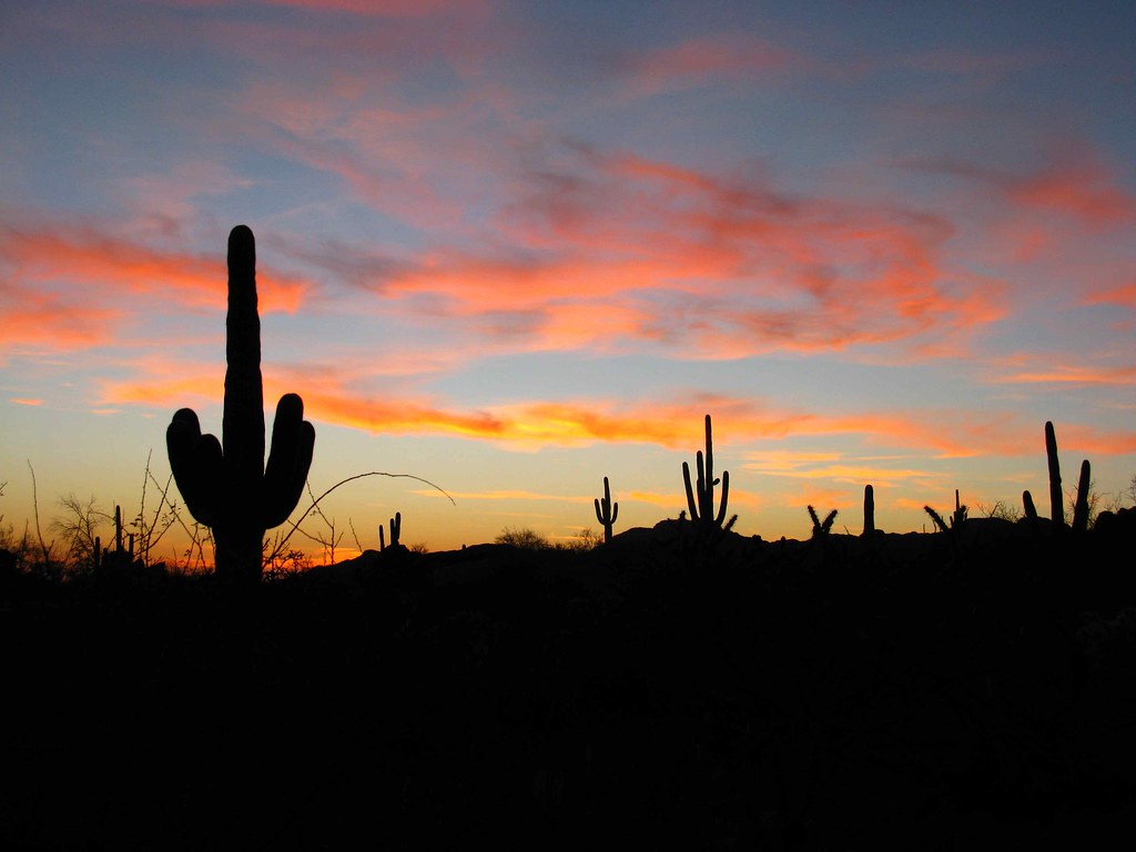 Saguaro Sunset | Original before PS-ing. | Jim | Flickr