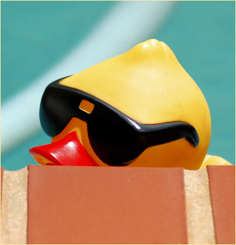 Peeking Duck | by ShacklefordPhotoArt