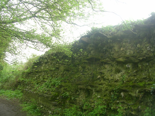 Calleva wall Mortimer to Aldermaston 