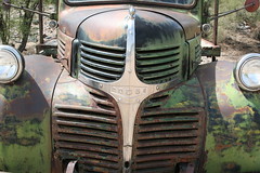 Old Dodge Truck