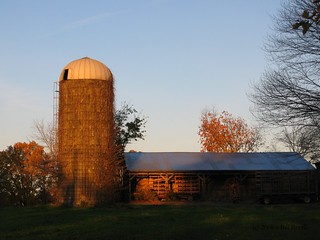 Wallingford silo as the sun came up.