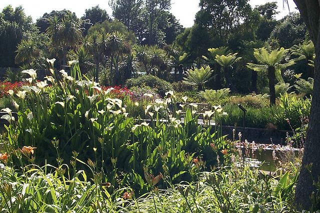Exotic Logan Botanic Garden