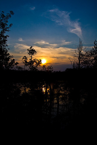 blue trees sunset sky orange cloud sun water virginia swamp canoneos soe photoshopelements canoneos5d canonlens sharrow supershot golddragon abigfave platinumphoto anawesomeshot theunforgettablepictures canonef28300mm worldwidelandscapes ef28300mm ef28300mml