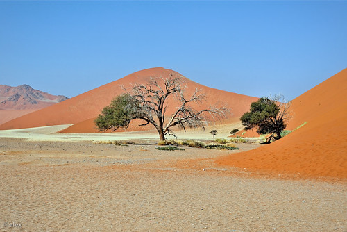 Namib Desert - Sossusvlei Dune 45 at noon by bretzel liquide
