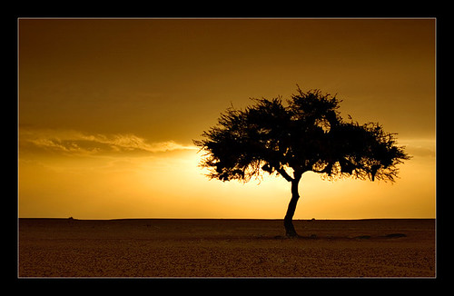 Sunset II by Ghayhab.com