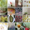 grow & bloom by Lari Washburn