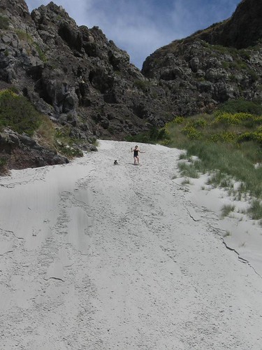 Sanddunes | by dunedin_hummus