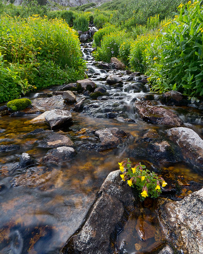 American Lakes Stream | by Pickr taker