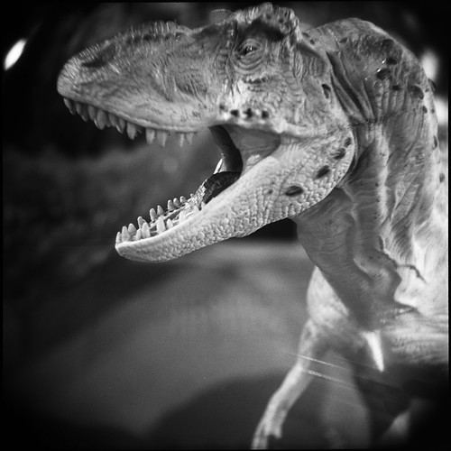closeup holga dinosaur michigan trix annarbor exhibitmuseum nightatthemuseum a3c3nightatthemuseum