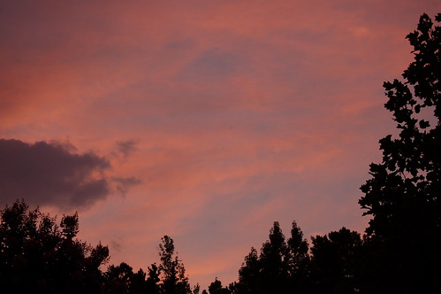 pink trees sky orange color beautiful clouds georgia dallas colorful heaven purple god heavenly sunsetsky canvassky