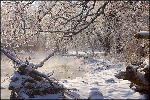 trees winter snow ice creek river geese illinois rocks stream steam rockcreek kankakeeriverstatepark