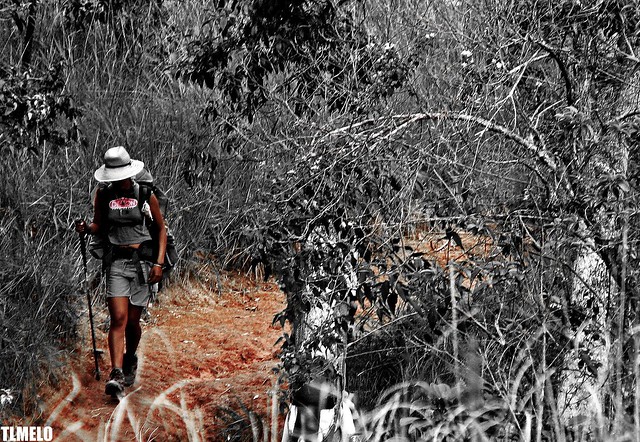 She comes  - Monte Roraima Trekking
