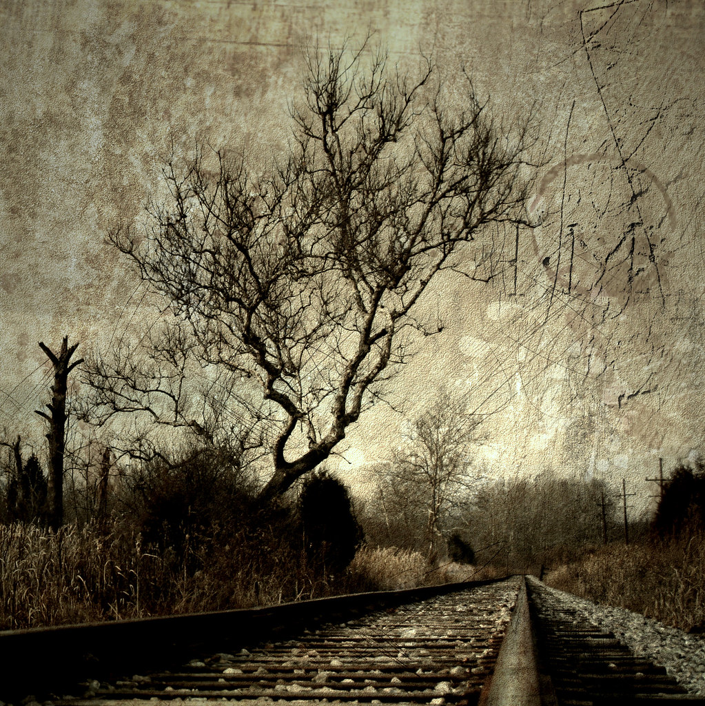 tree//tracks by FotoFiction For Book Covers