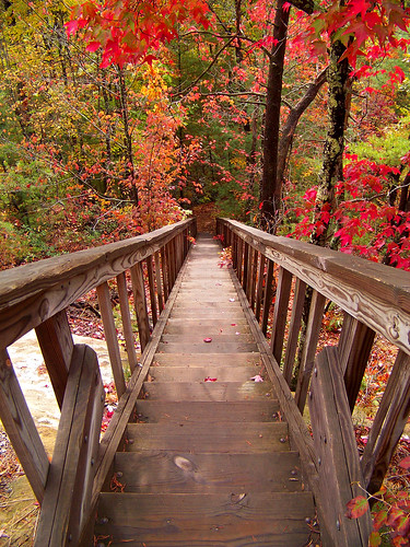 autumn color kentucky steps redrivergorge danielboonenationalforest lotsofsteps rualkentucky siverminearchtrail ourkentucky