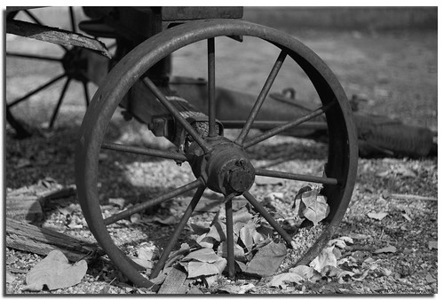 autumn blackandwhite bw texture leaves wheel sepia wagon colorado rocks dof spokes fortcollins depthoffield wagonwheel lakeloveland aplusphoto