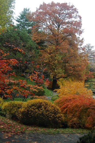 Japanese Garden by Flatbush Gardener