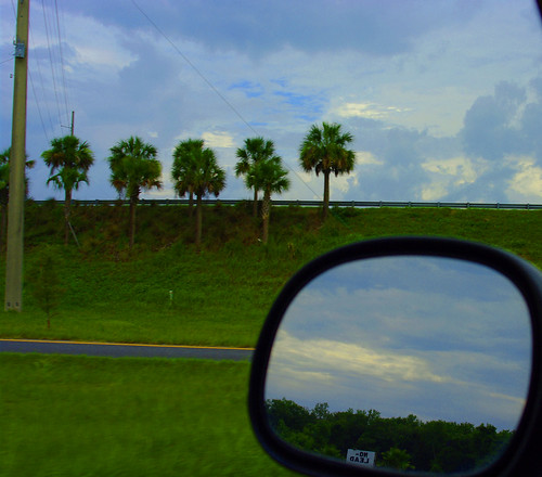 road color tree grass clouds mirror highway view no onramp palm pole cropped lead k20d riew